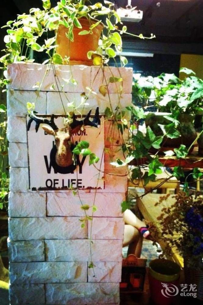 大連市 大連 バズ ライト イヤー ユースホステルホステル エクステリア 写真